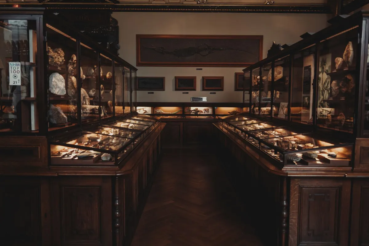Étiqueter, ranger et conserver une collection de minéraux et de fossiles